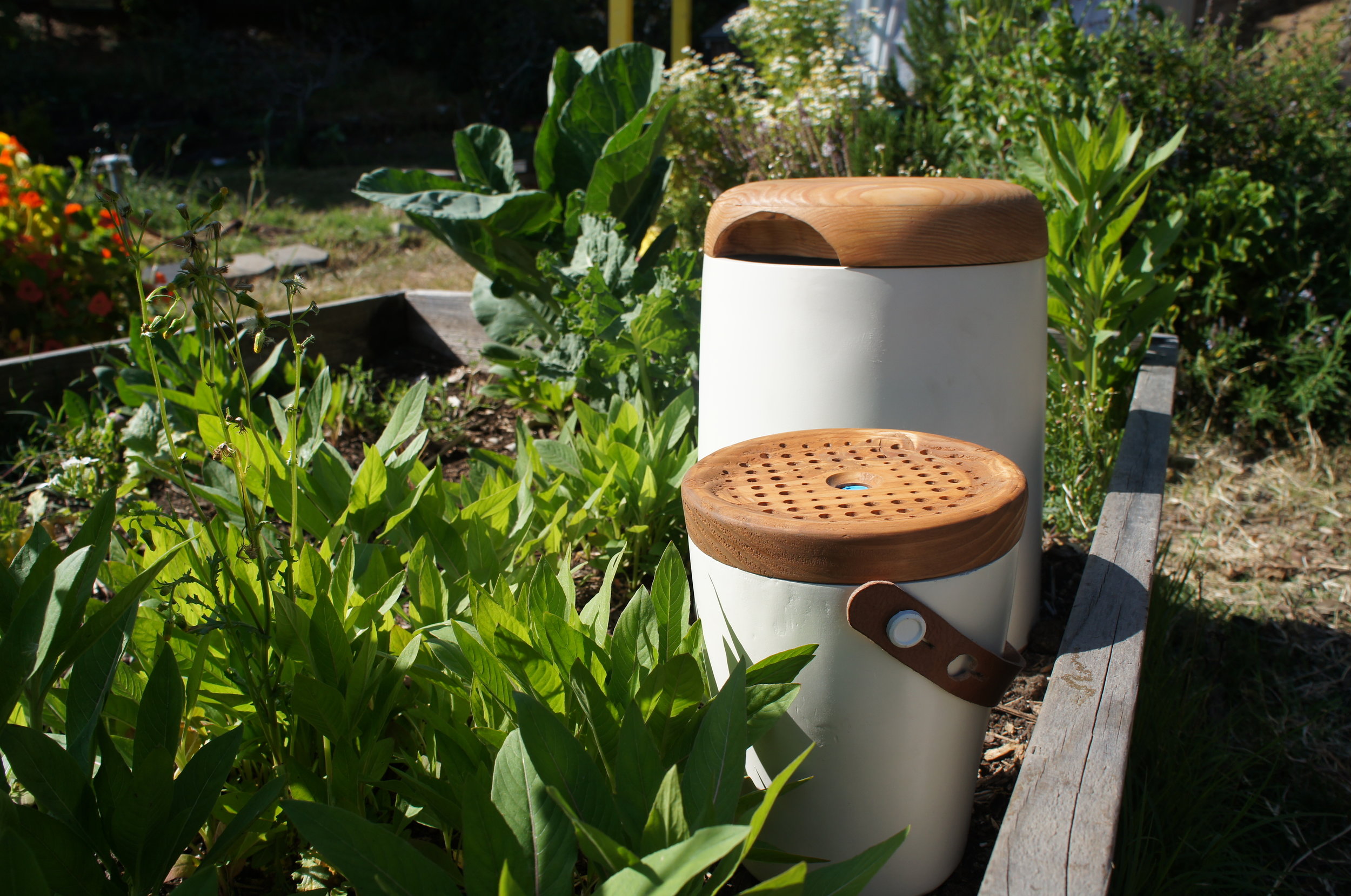 Vermi project object photo